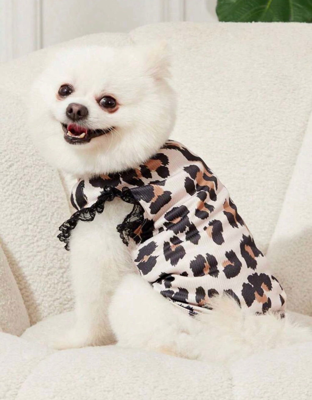 Lace sleeveless dog tshirt