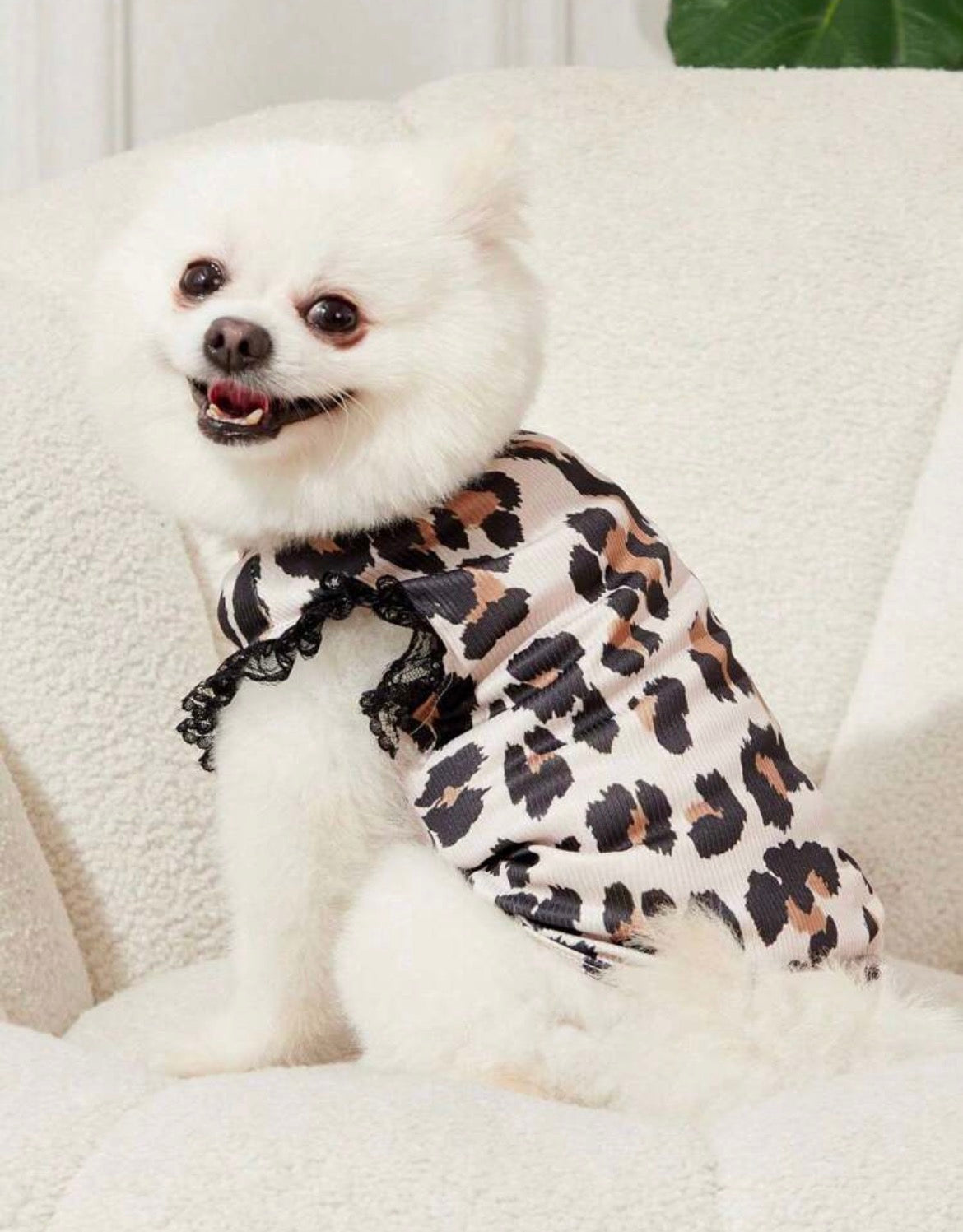 Lace sleeveless dog tshirt