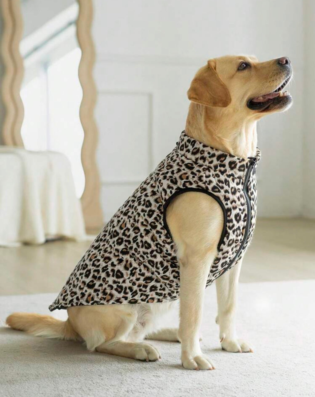 Dog winter coat - larger