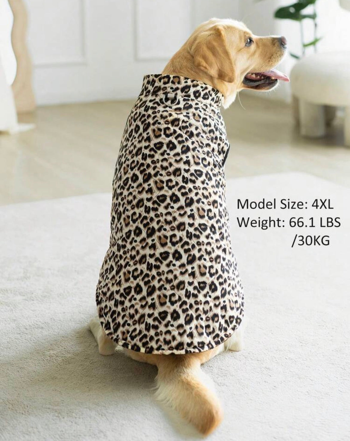 Dog winter coat - larger