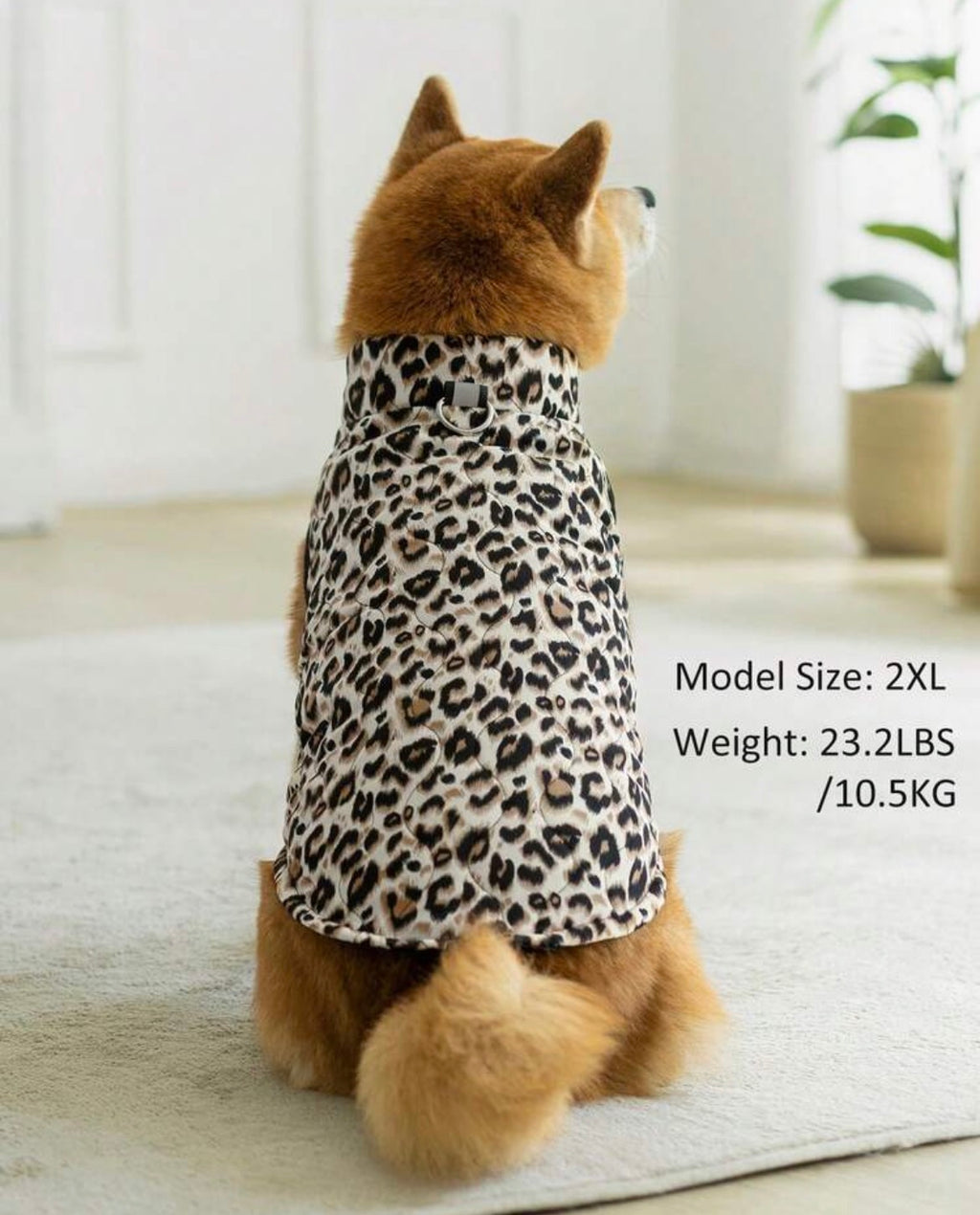 Dog winter coat - larger
