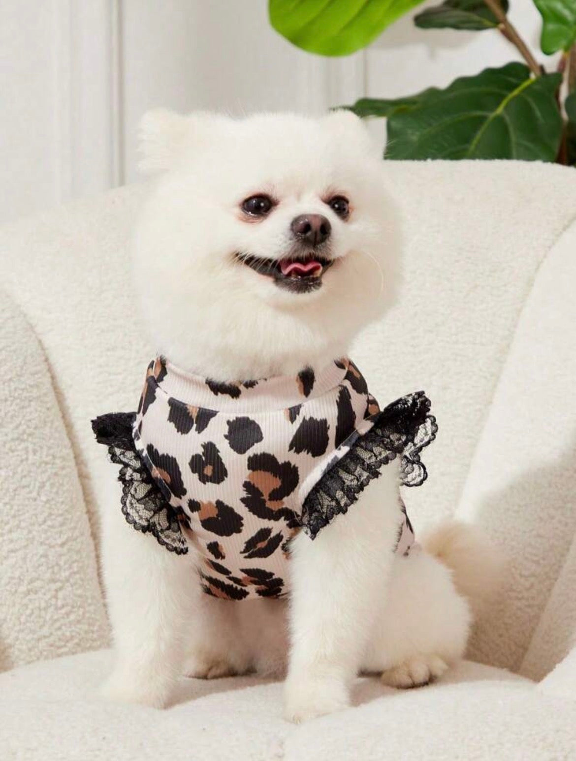 Lace sleeveless dog tshirt
