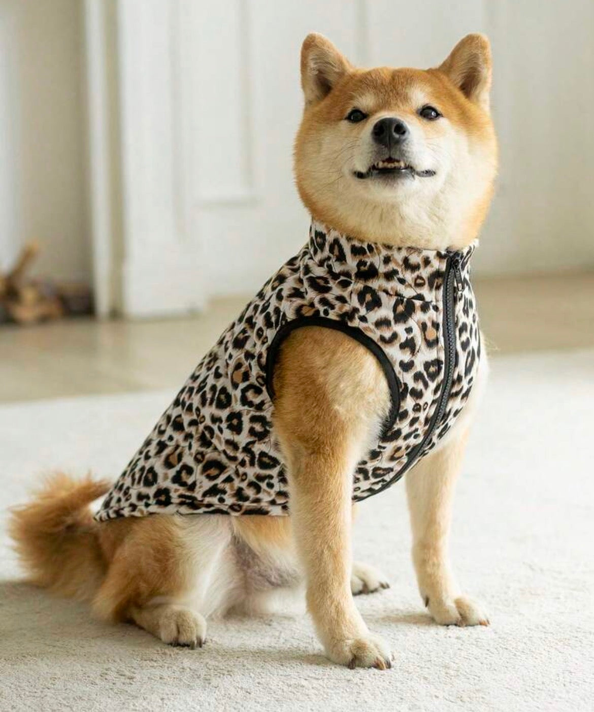 Dog winter coat - larger