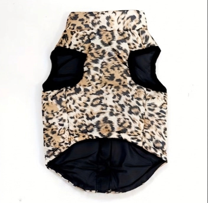 Windproof dog vest