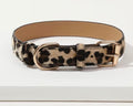 Pet collar