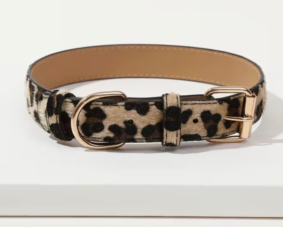 Pet collar