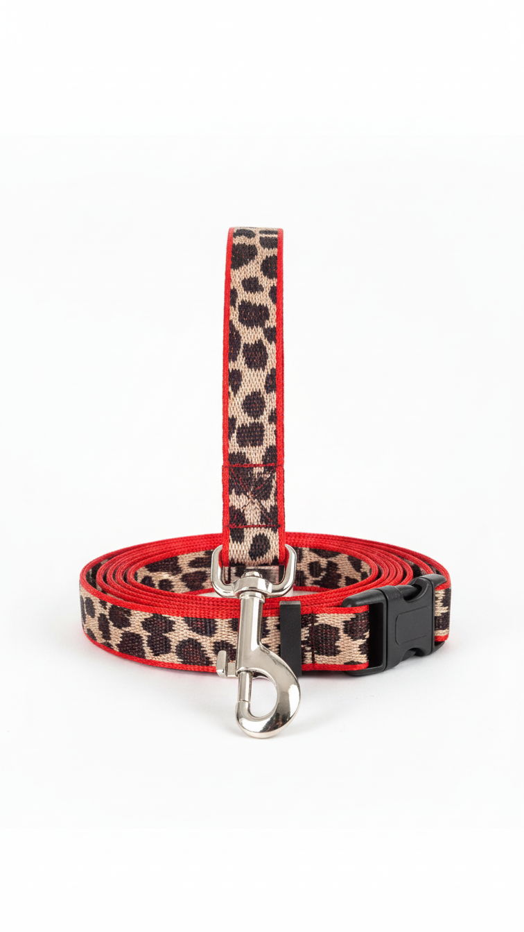 Dog leash and collar set - red