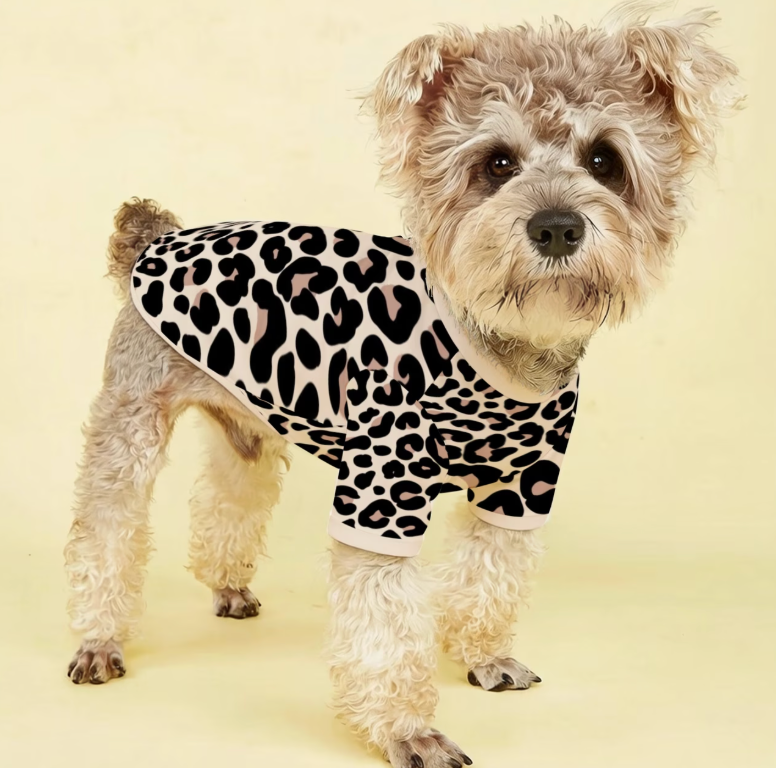 Dog sweatshirt - beige