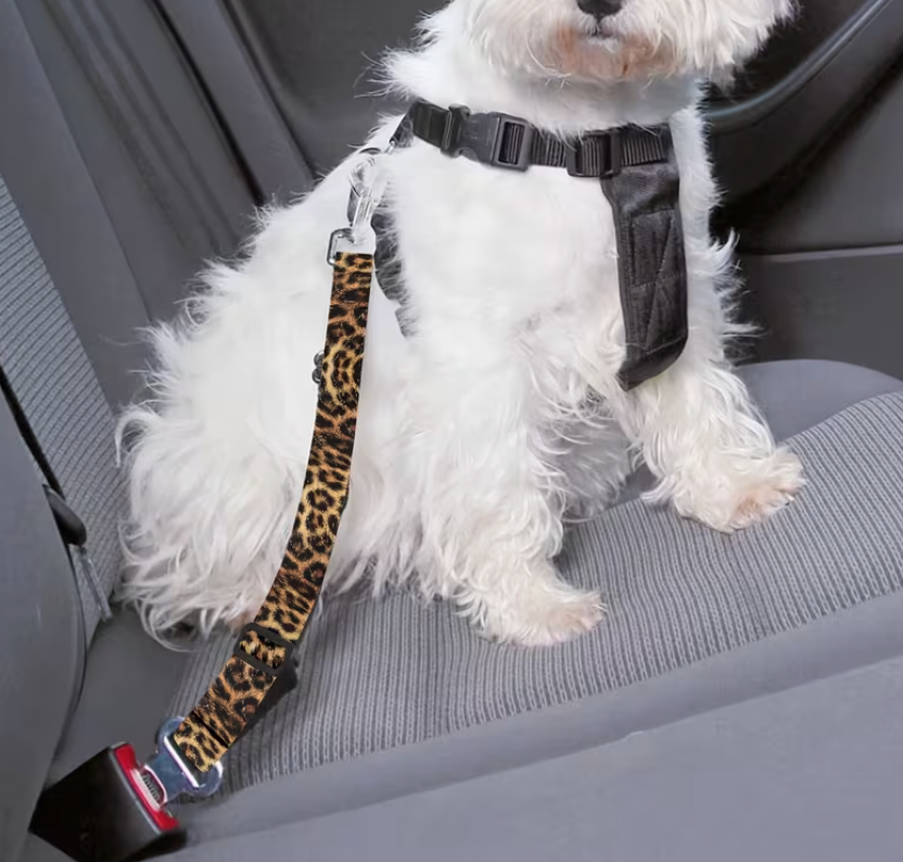 White dog wearing a seat belt with a leopard print strap in a car.